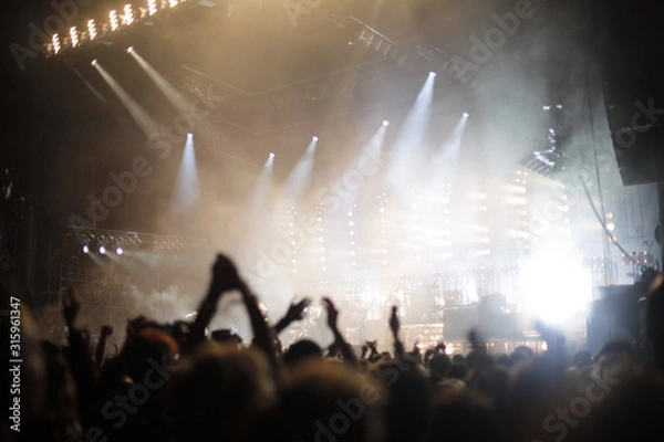 Obraz crowd at concert