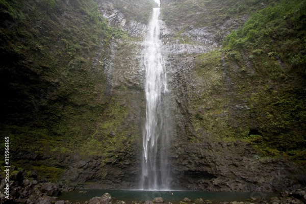 Obraz waterfall in forest