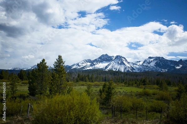 Obraz mountains and trees 
