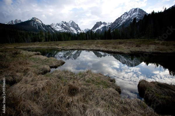 Obraz piłokształtne
