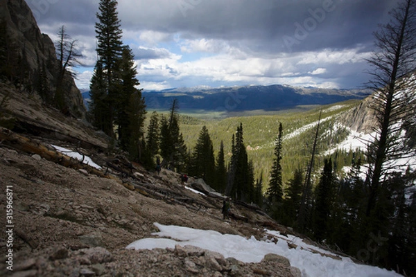Obraz mountains and trees