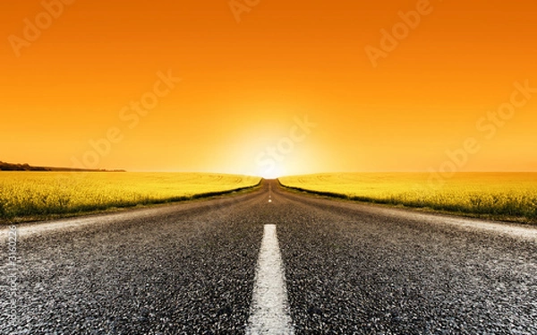 Obraz Zachód słońca Canola Road