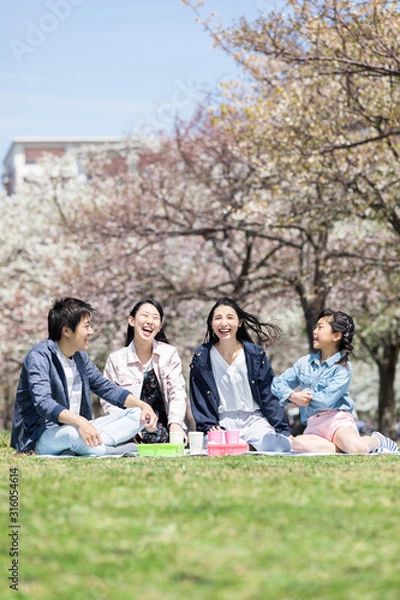 Fototapeta お花見をする家族