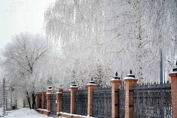 Fototapeta bricks fence in snow under frosty tree branches