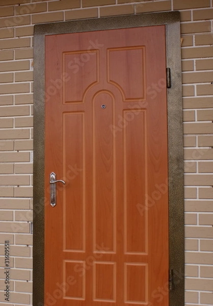 Obraz Декоративная дверь в дом