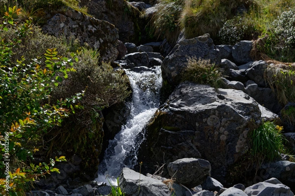 Fototapeta Clear, white water runs through dark, wet rocks