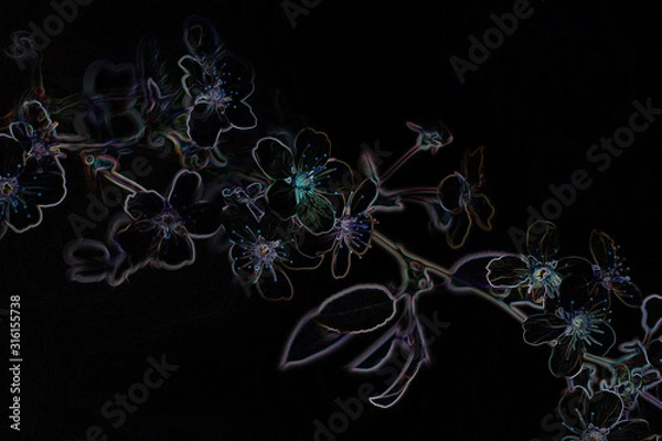 Obraz  abstract nature