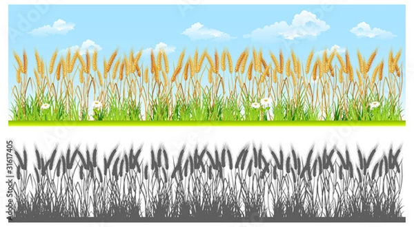 Obraz Landscape with wheat