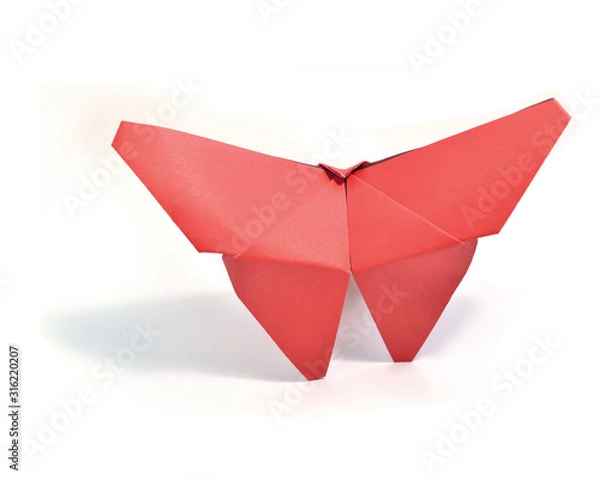 Obraz Origami on white background