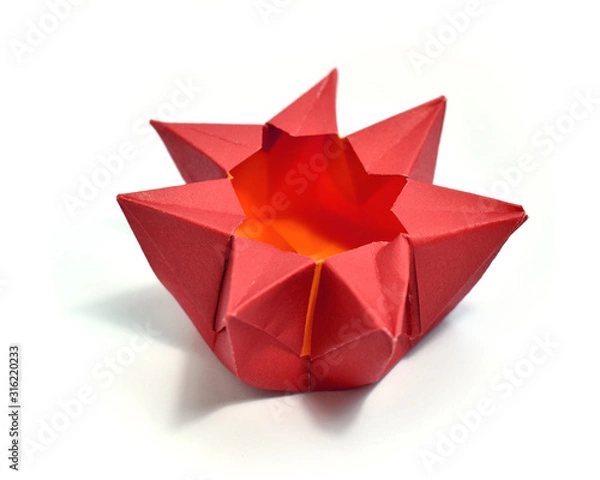 Fototapeta Origami on white background