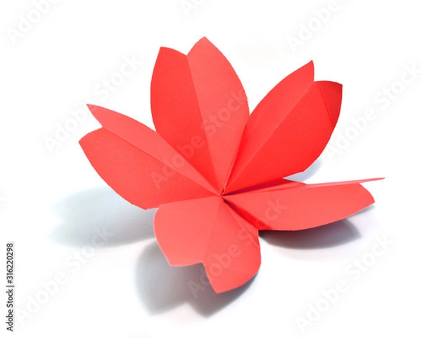 Obraz Origami on white background