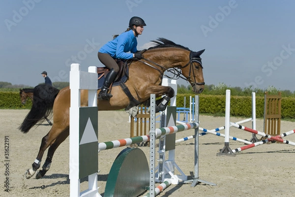 Fototapeta Springreiten