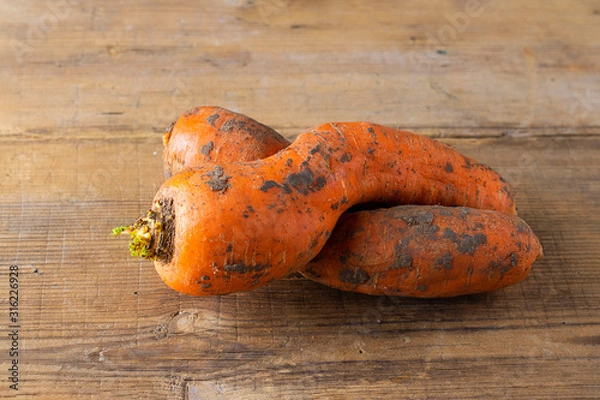 Fototapeta Two curved ugly carrots with pieces of soil on brown old wooden background. Vegetables with unusual strange shape. Horizontal. Food that grocery store and supermarket usually throw away.