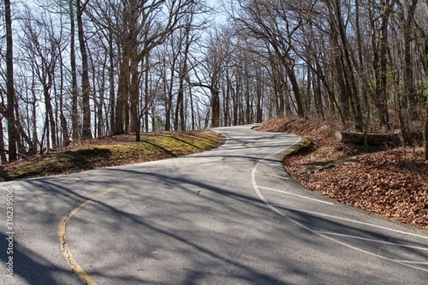 Obraz road in the forest