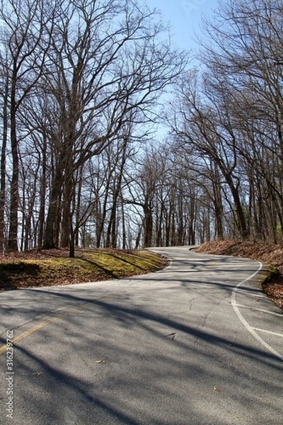 Obraz road in winter