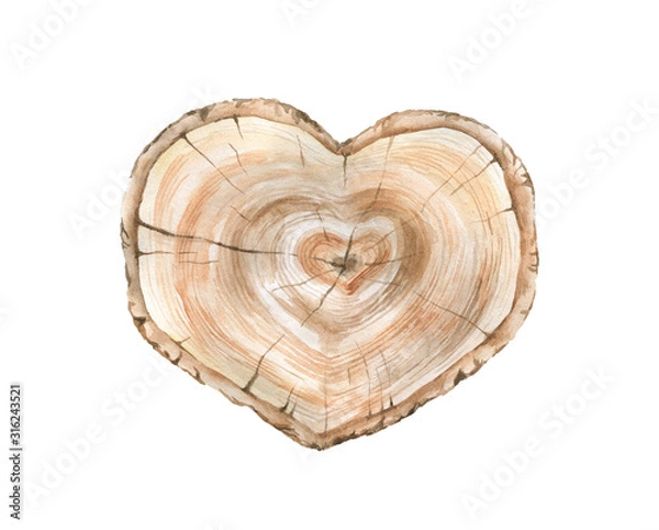 Obraz Watercolor slice of a tree in the form of a heart.