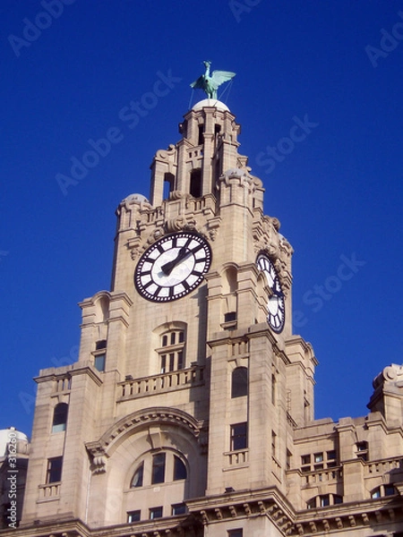 Obraz liver building clock tower