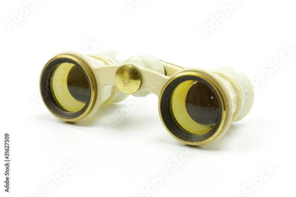 Obraz The old opera glasses