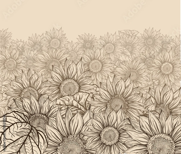 Obraz Sepia sunflowers field