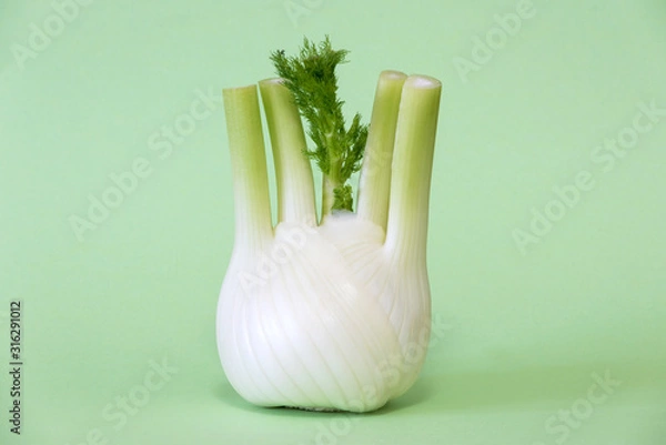 Obraz Fennel on green background