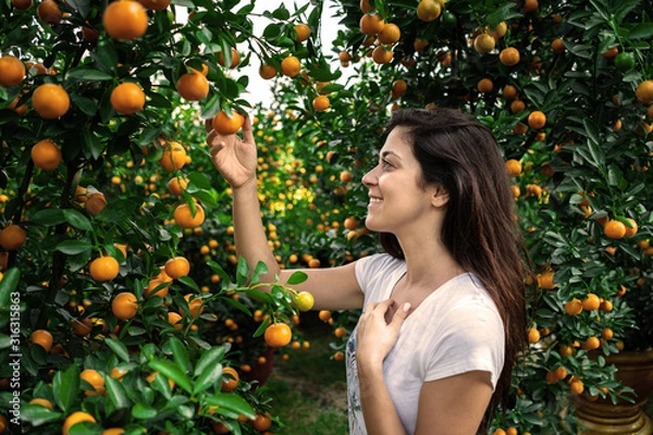 Obraz Girl looking at citrus Japonica (mandarin) in the traditional Tet holiday (Lunar new year) in Vietnam, Asia