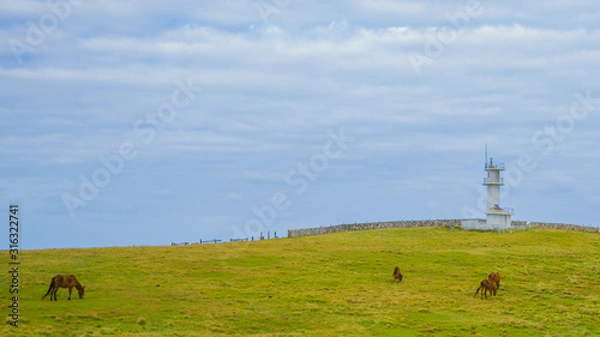 Obraz 東崎展望台