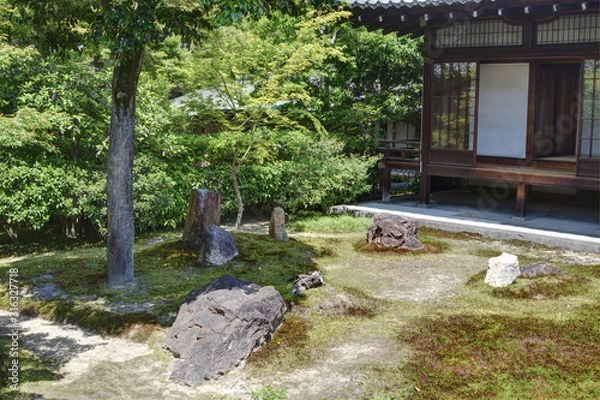 Fototapeta 建仁寺の庭