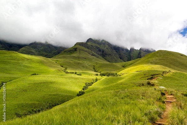 Fototapeta Small path leading to Blindman's Corner, green meadows and soft green mountains, Monk's Cowl, Champagne Castle and Cathkin Peak shrouded in clouds, Drakensberg, South Africa