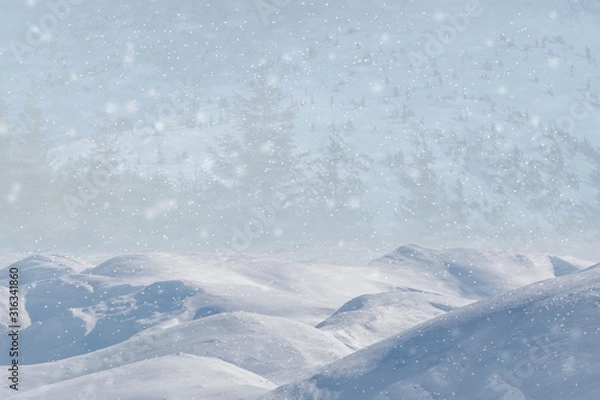 Fototapeta Winter landscape with falling snow