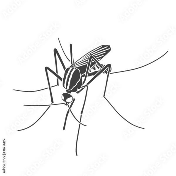 Obraz Mosquito_01