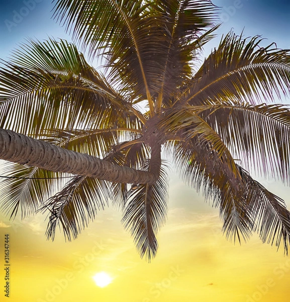 Fototapeta sunrise bay