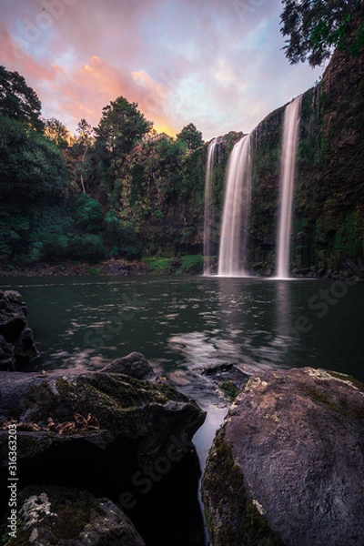 Fototapeta Sunset at Whangarei Falls, New Zealand