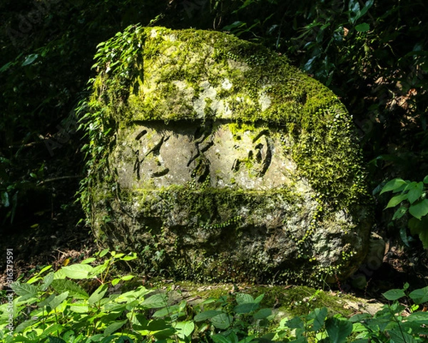 Obraz statue in garden