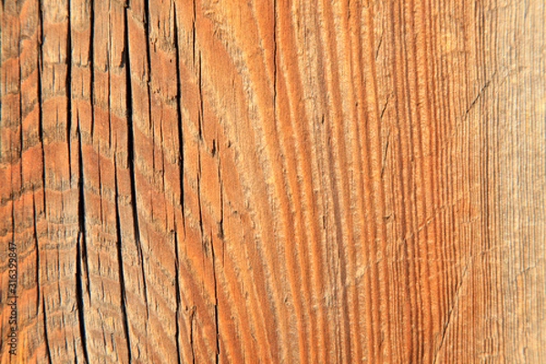 Fototapeta Woodiness grain