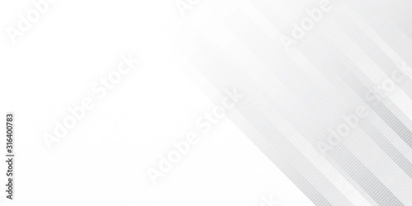 Fototapeta White silver neutral abstract background for presentation design. Suit for business, corporate, institution, party, festive, seminar, and talks.