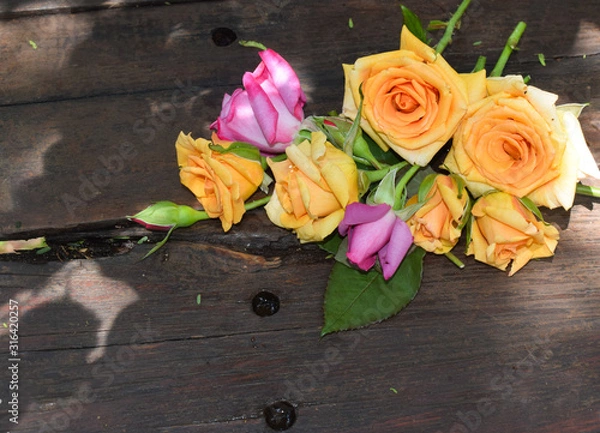 Obraz Delicate roses on rustic background