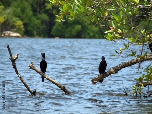 Obraz Climate change effect