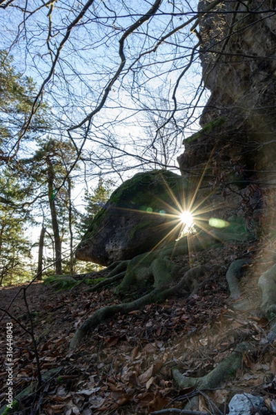 Fototapeta Sonnenstrahlen