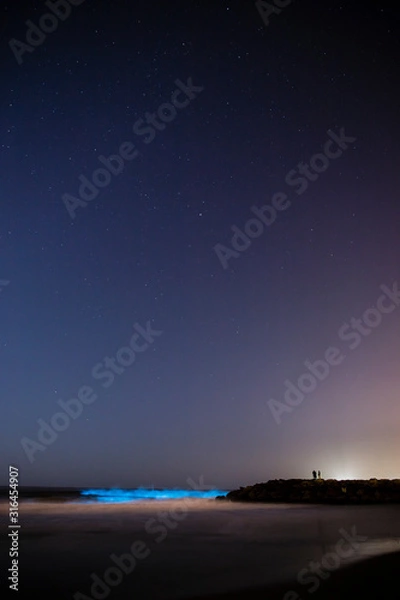 Obraz Marveling at Bioluminescent Waves