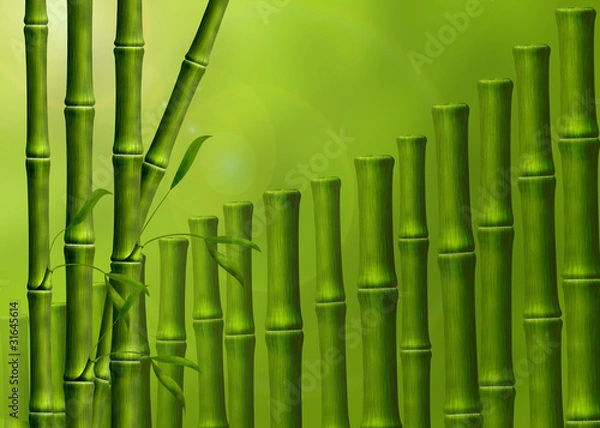 Obraz Экзотический фон из стеблей бамбука