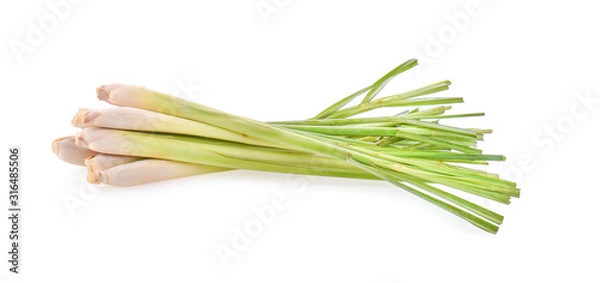Fototapeta lemon grass on white background.