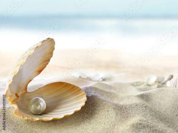 Obraz Muszla z perłą