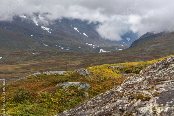 Fototapeta autumn view of Sarek National Park, Lapland, Norrbotten County, Sweden, near border of Finland, Sweden and Norway. selective focus