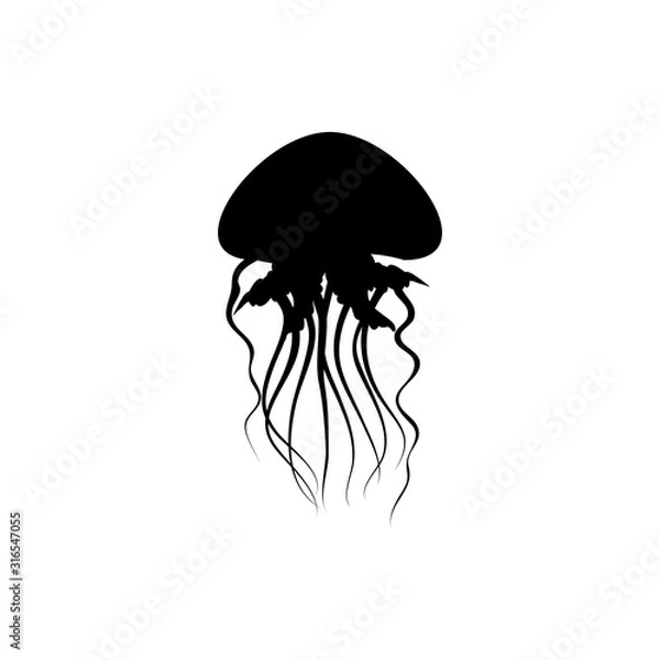 Obraz jellyfish vector illustration