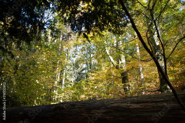 Obraz Ysperklamm hiking