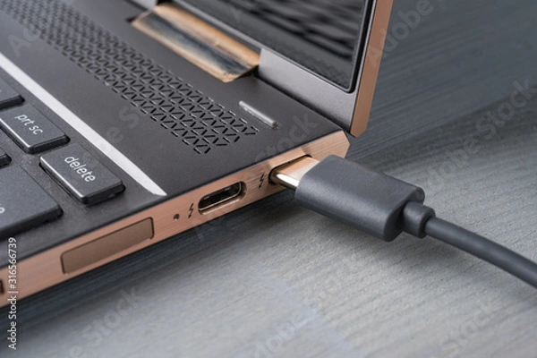 Fototapeta Closeup of USB Type C grey cable being connected to the laptop computer.