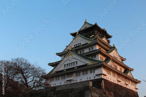 Fototapeta 大阪城