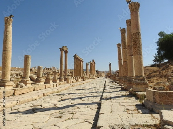 Fototapeta ジェラシ遺跡