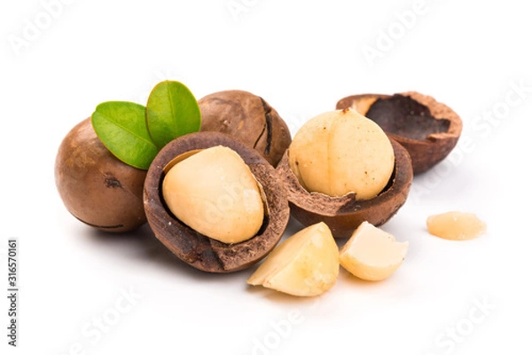 Fototapeta Macadamia nut with pieces and green leaves isolated on a white background