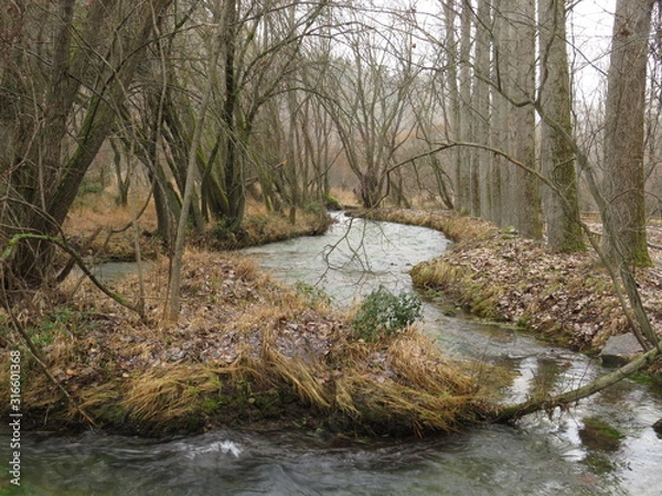 Obraz CAUCE DE ARROYO